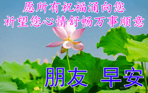 好祝福语图片大全,问候动态表情图片大全!_成功_朋友_人生