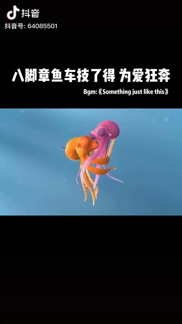八爪鱼的爱情就是这么波折离奇创意搞笑爱情