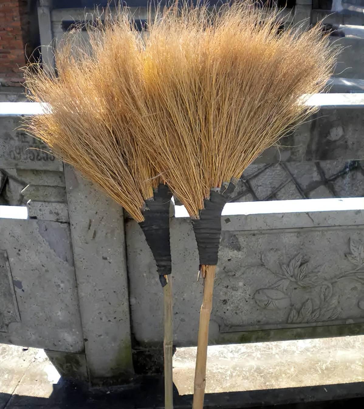 《说文解字》555课:细说"友"字,"握手",是"友"的源头