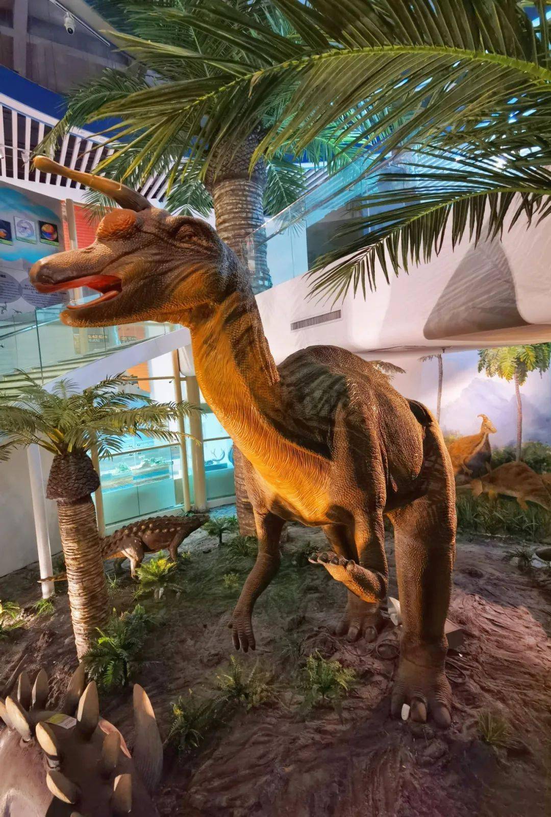 免费参观专治周末不会玩带娃探索奇妙大自然