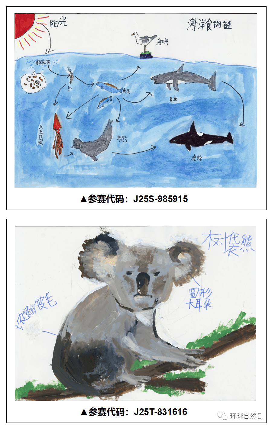 官宣环球自然日2021总决赛科普绘画作品赏析