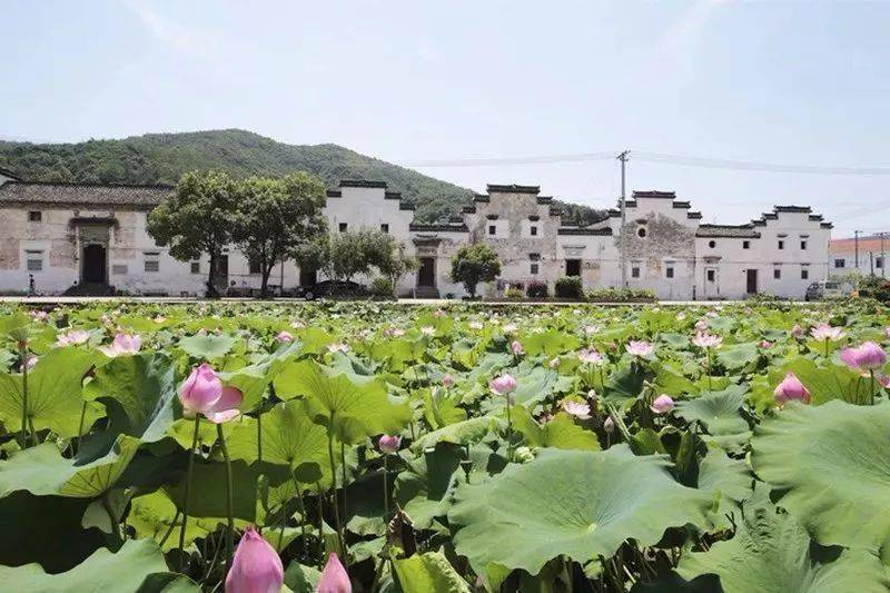 诸暨五云村图片