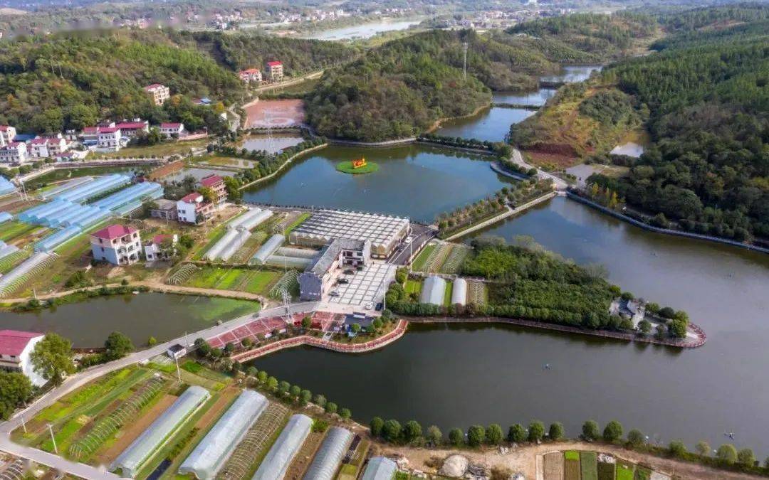 香零山村被打造成"有机蔬菜 旅游"综合体示范村,去年接待游客41万人次