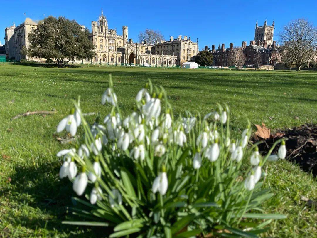 怦然心动英国大学迎来最美春天