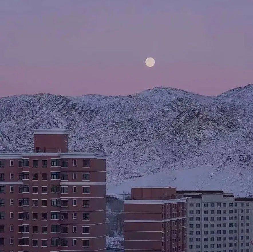 忘不掉的人像星星，只有在夜里才会显得特别。_星标_真话_萱草