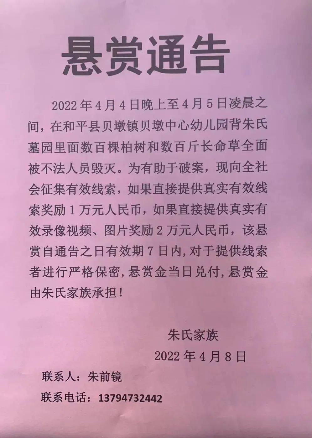 4月5日,在和平縣貝墩鎮的朱先生反應在清明當天,發現他們朱氏墓園內的