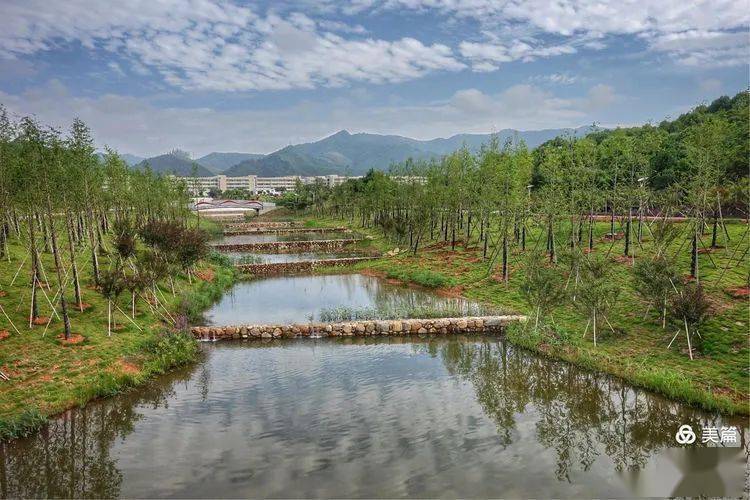 這些沙縣蝦帶著工具來到龍湖,他們都做了些什麼_公園_漂浮物_游泳