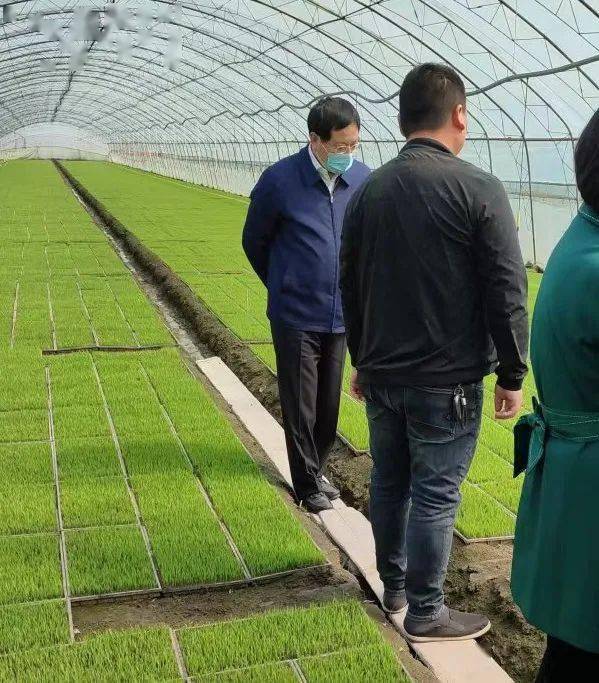 市人大常委会主任王百胜调研我市春耕生产情况_工作_农资_高坎镇