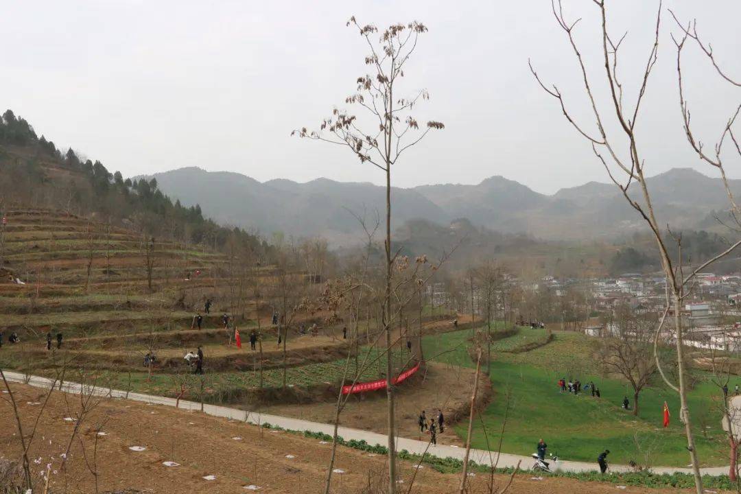 践行两山理论打造宜居新成县沙坝镇特色产业托起群众致富梦