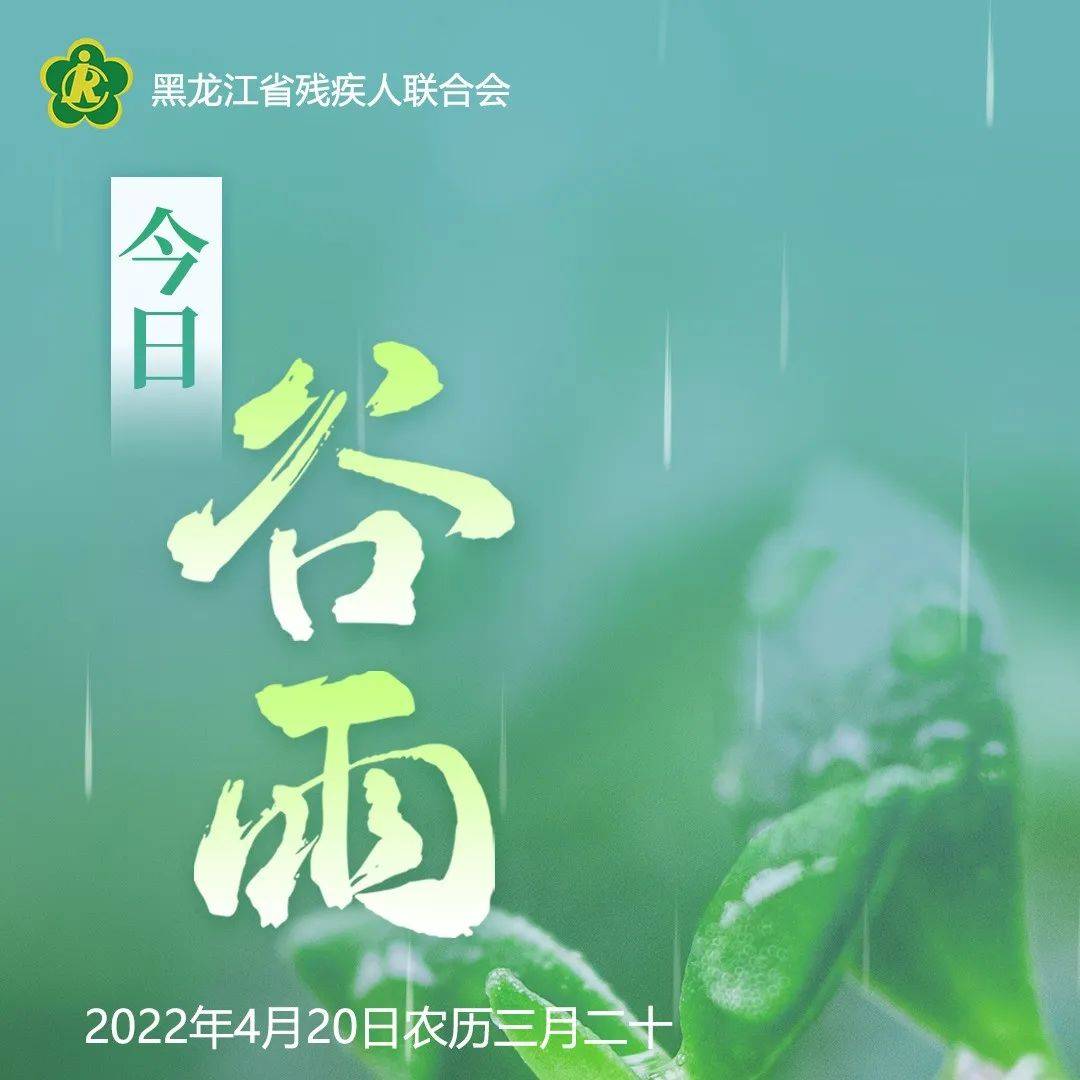 春归谷雨,夏日将至_今日谷雨_节气_张丽莉