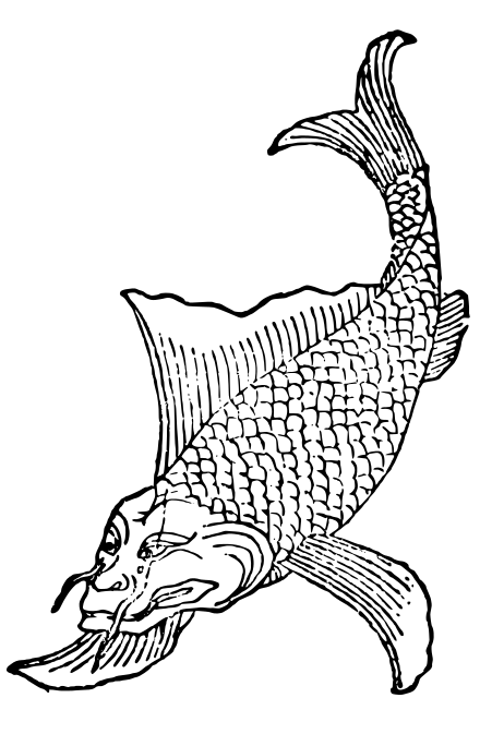 鲛人是不是中国的美人鱼?_人类_山海经_江豚