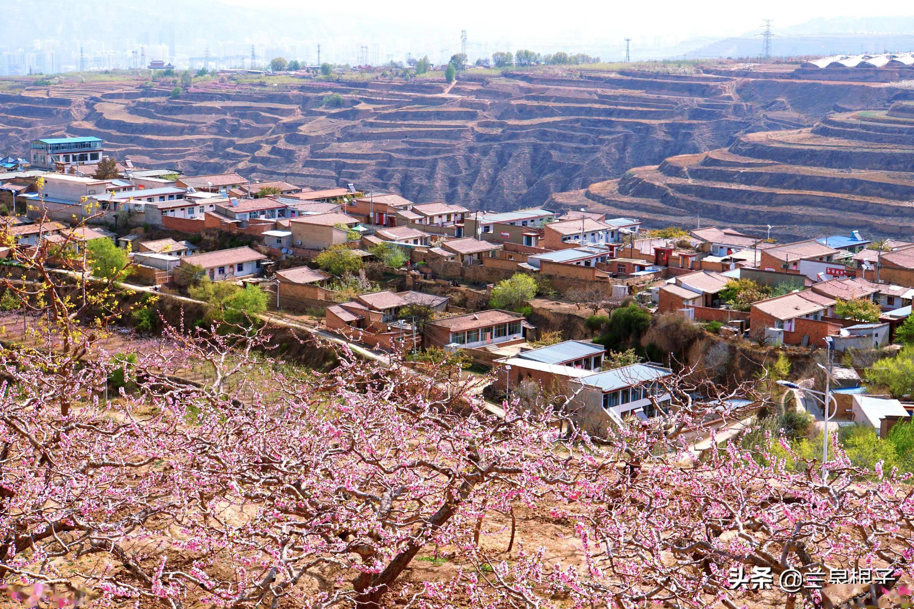 春天景象图片农村图片