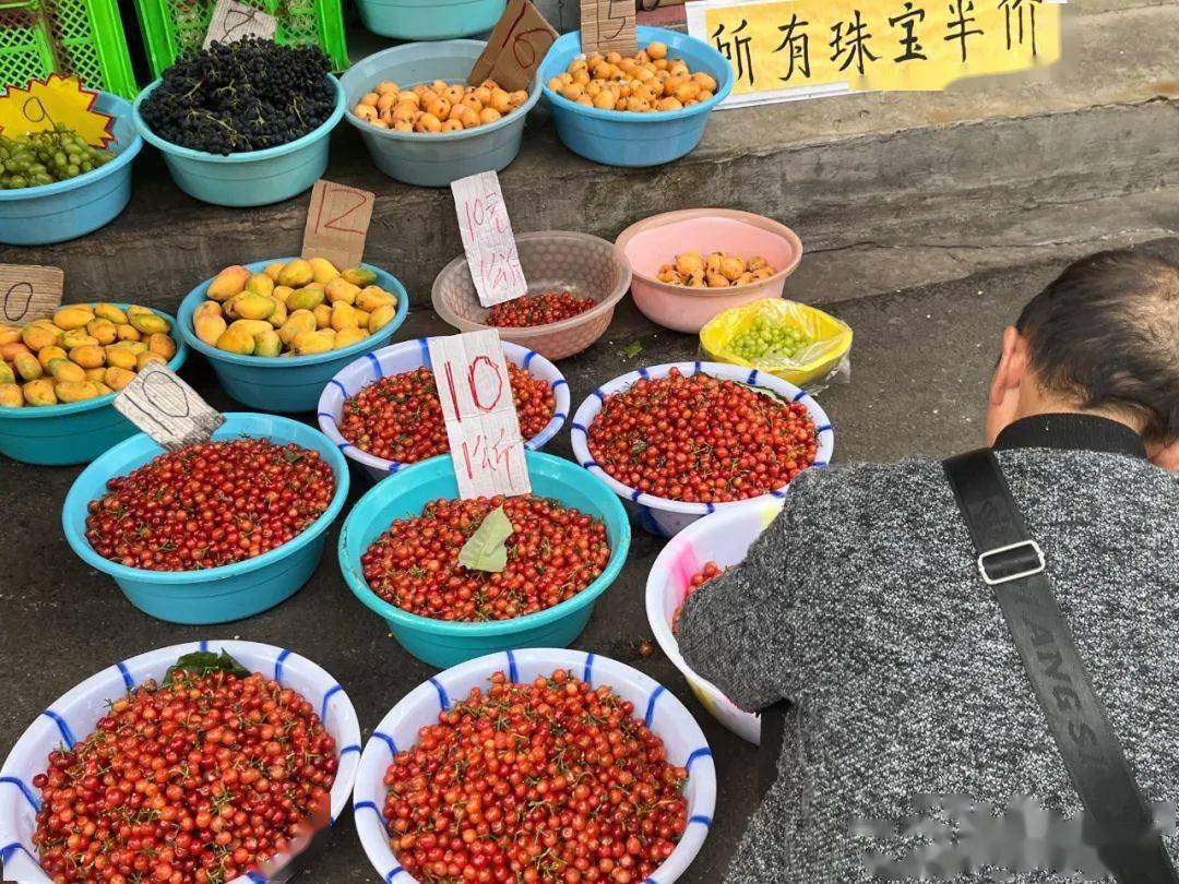 紫溪山樱桃大量上市!价格"大跳水"!楚雄市民实现樱桃自由了