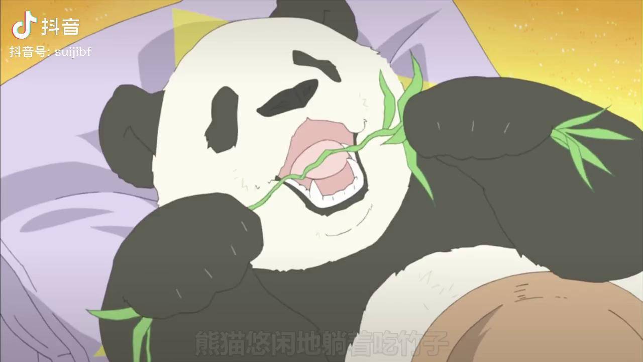 熊妹的白马王子可爱二次元动漫治愈动漫熊猫