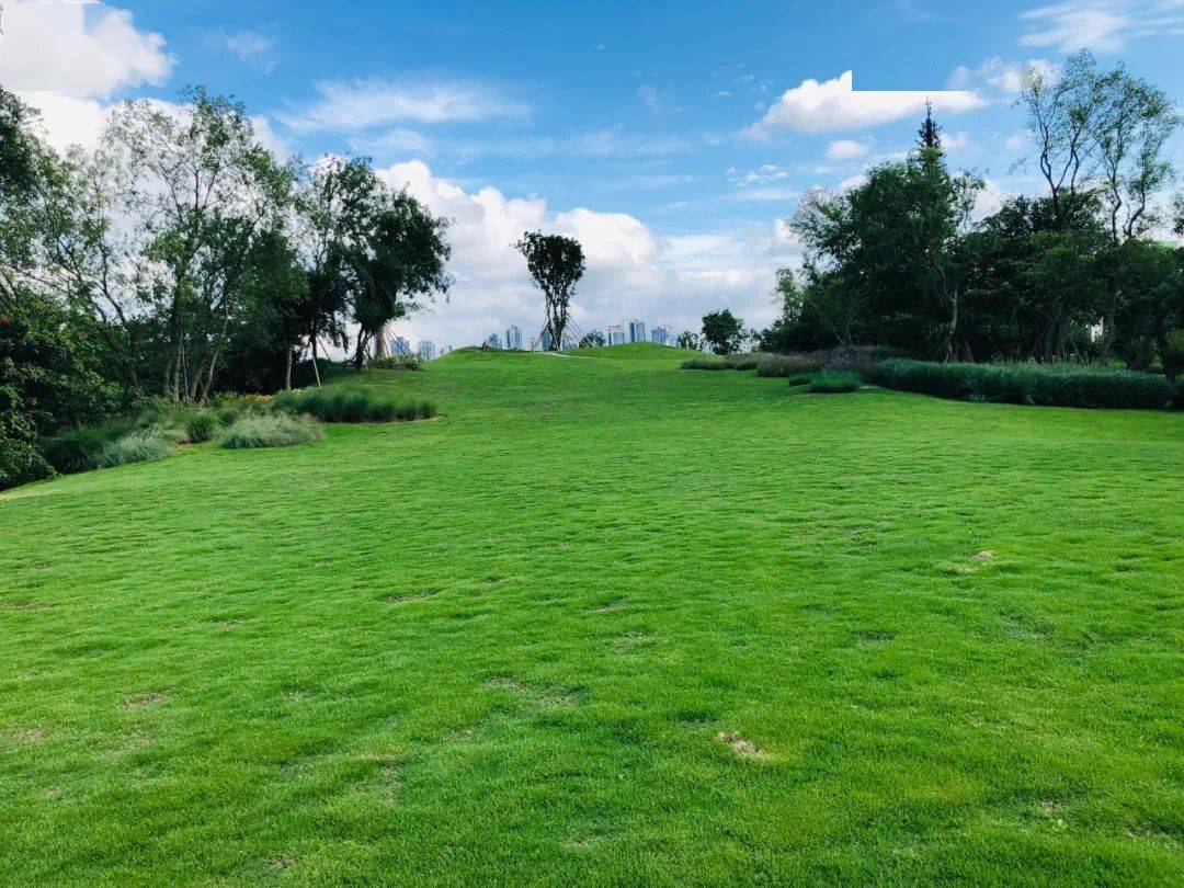 周末宝藏打卡地玩水沙滩派对草坪音乐会三亚玩乐大礼包请查收