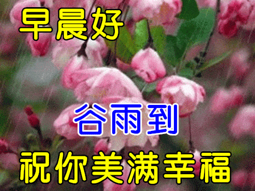 674月20日谷雨最漂亮早上好动态表情图片及早晨好动图美图大全史上