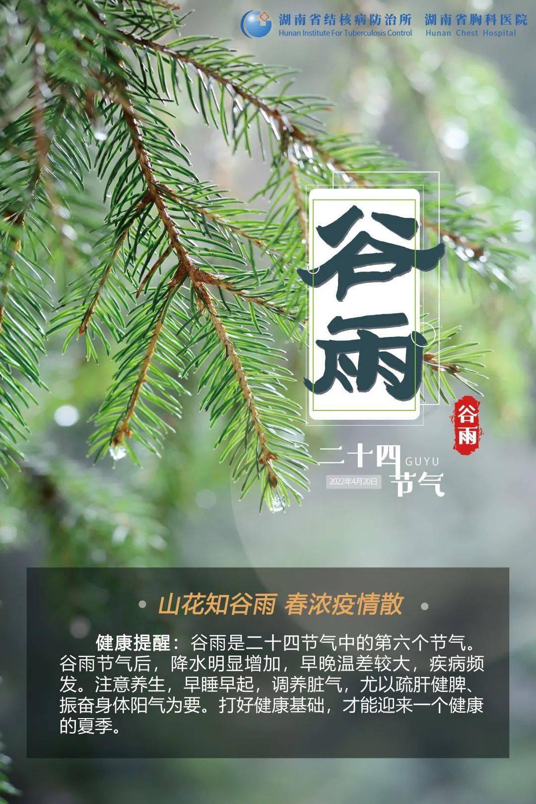 今日谷雨雨生百谷万物更新