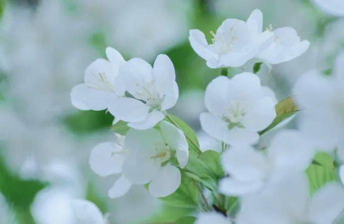 浅斟慢品用淡淡的茶香,洗尽尘世铅华心素如简,人淡如茶趣读人生微信号