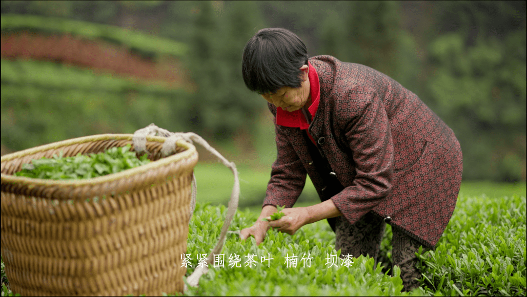 毛坝"六口茶",这茶怎么喝?_利川市_企业_协同发展