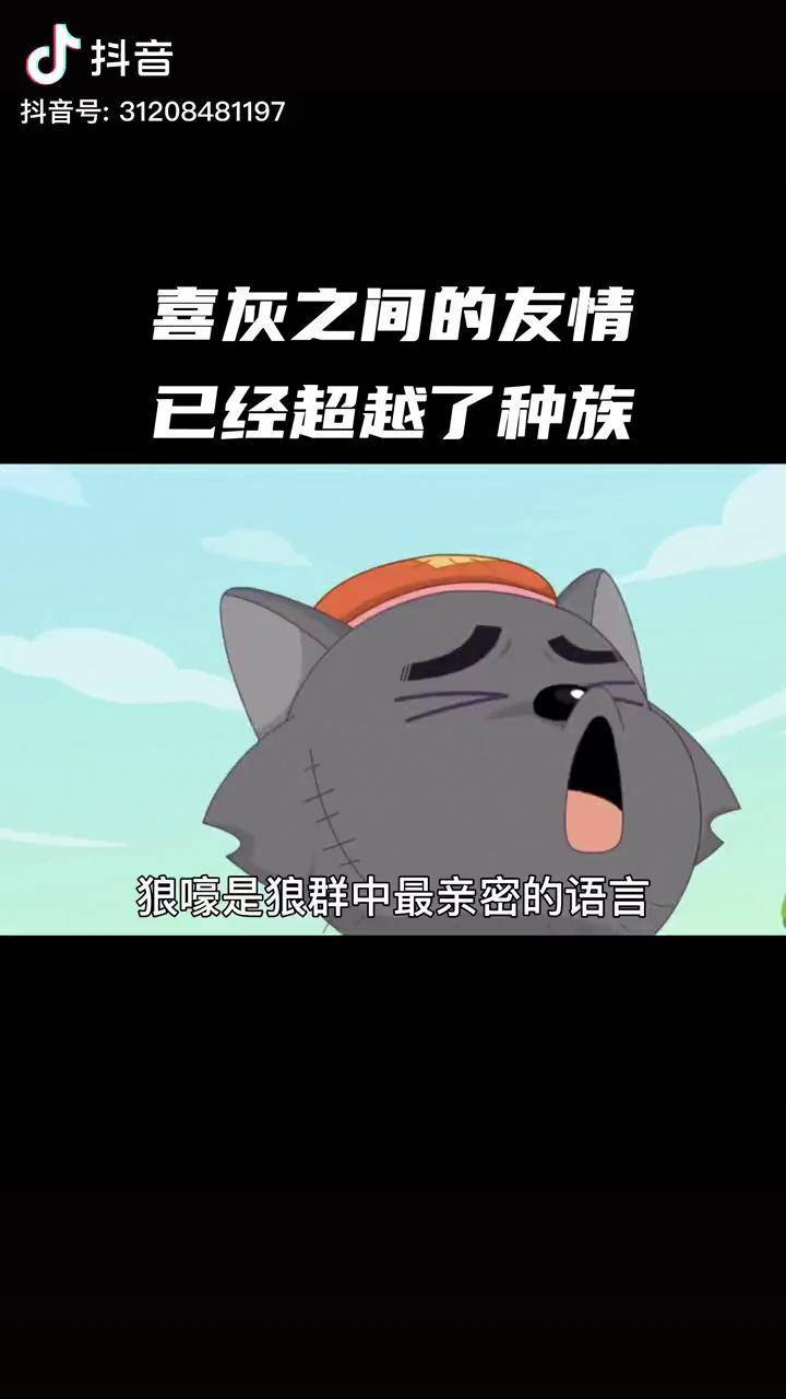 狼嚎的意义证明了喜灰间的友情喜洋洋与灰太狼动漫推荐轻漫计划