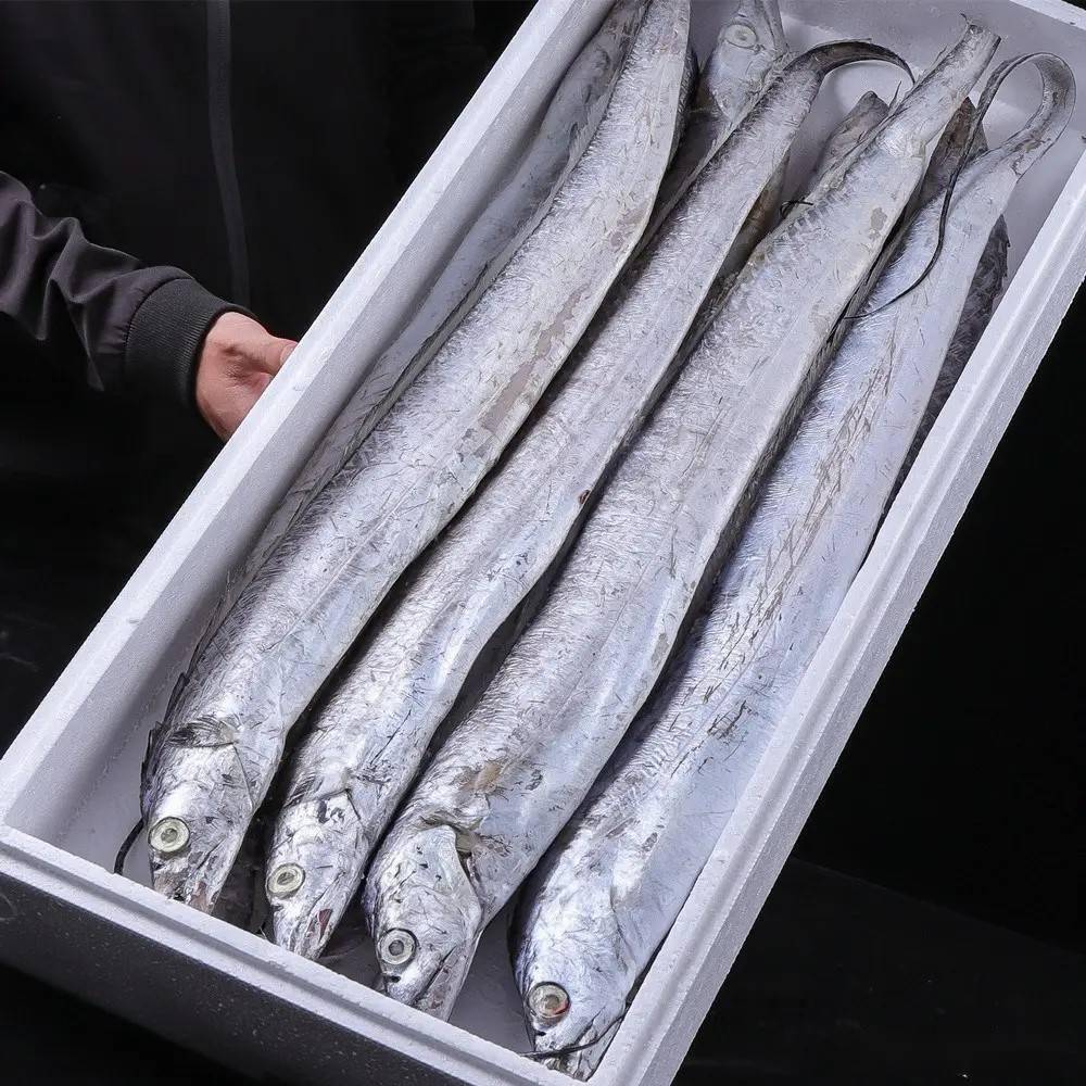 買帶魚:牢記4不買,這種帶魚連老闆自己都不吃,知道告訴家裡人_冰衣厚