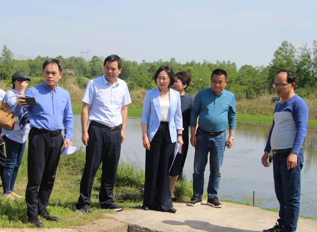 民建湖南省委会来常调研洞庭湖生态环境保护民主监督工作_常德市_魏云