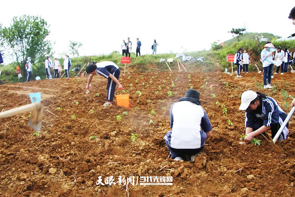 将劳动教育课纳入日常课程中,并与凯里市开怀街道合作,在其辖区内租赁