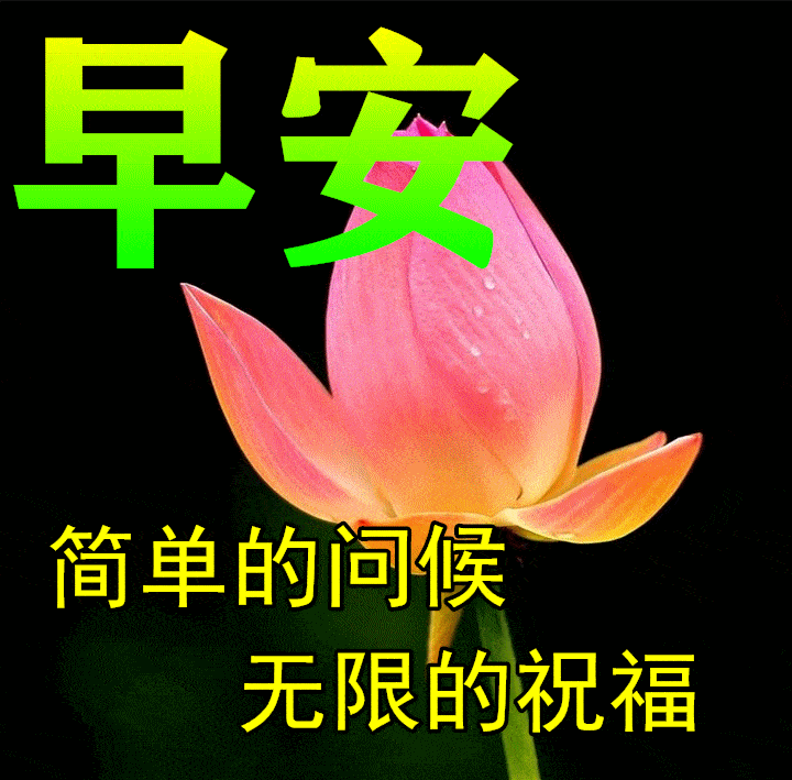 祝福语图片大全问候动态表情图片大全