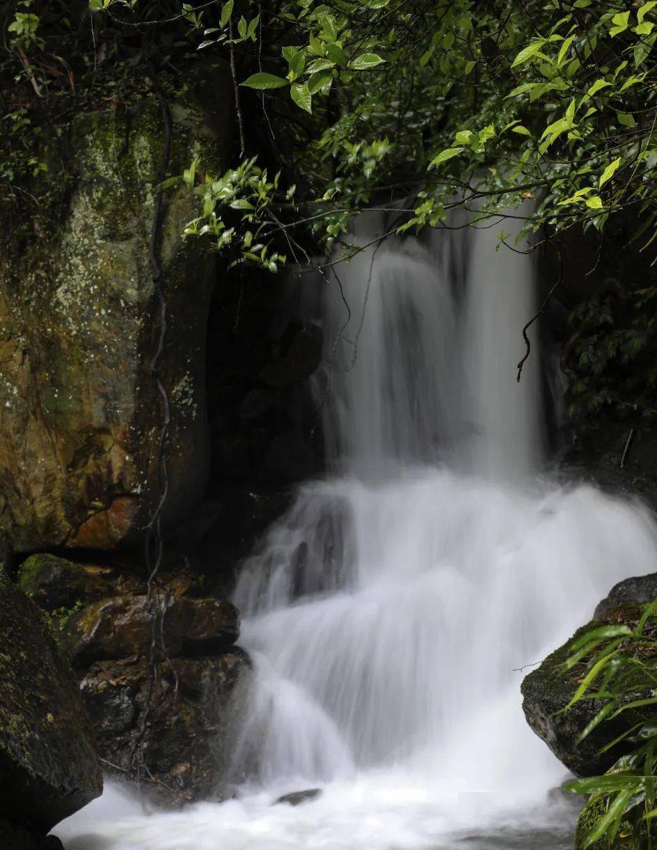 卫出来玩啊五一来翠屏山片区邂逅藏云溪古道吧