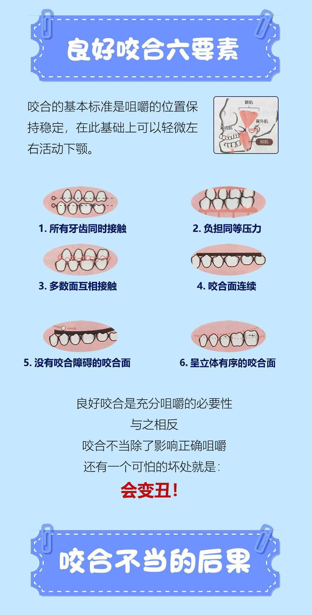 正确的咬合关系图片