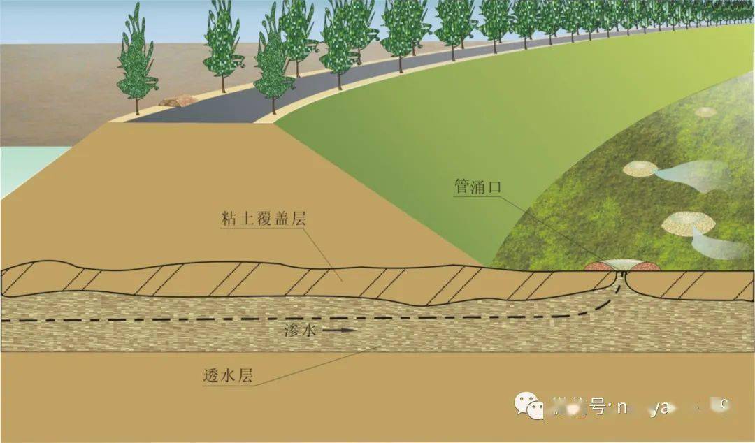 透水后戗(砂石压渗平台):堤坡渗水严重,沙土料源丰富,施工机具充足,可