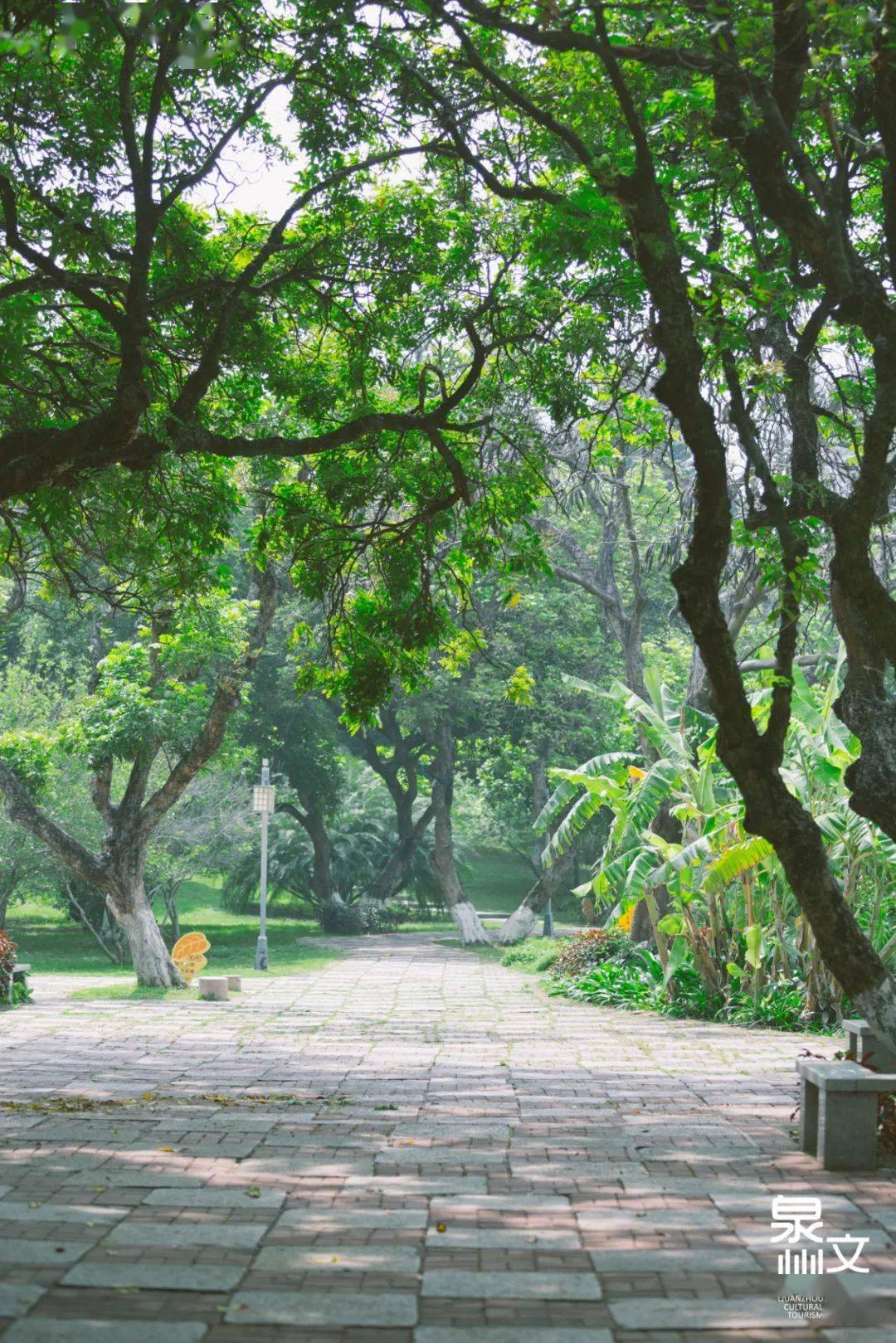 泉州的初夏,来施琅的春园里纳凉_四季_红砖_芳草地