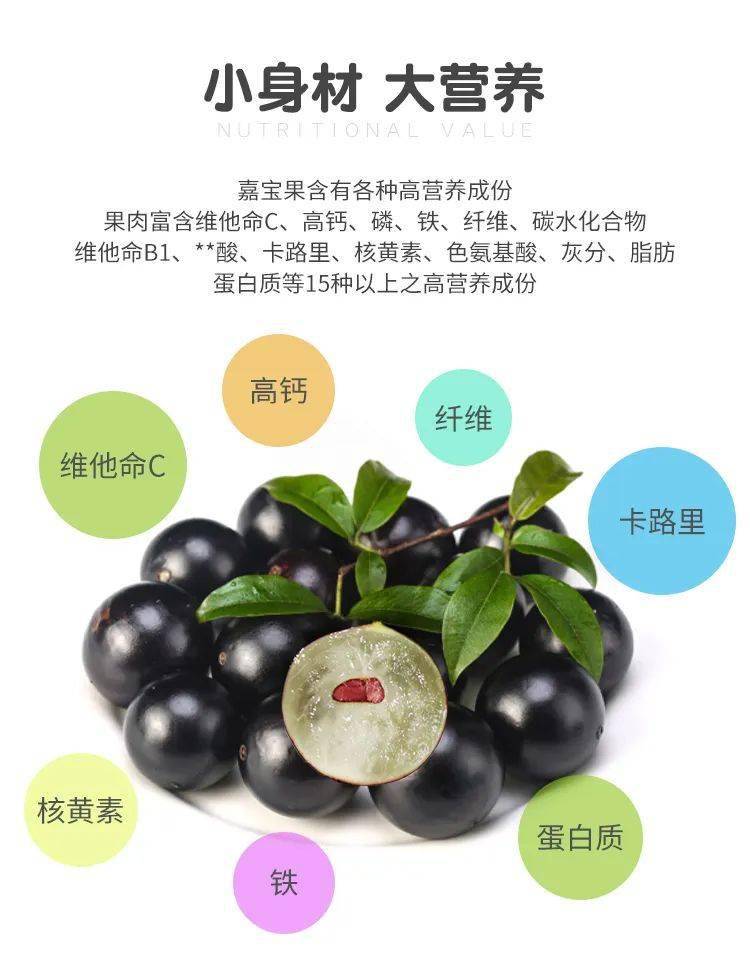 嘉宝_水果_花青素