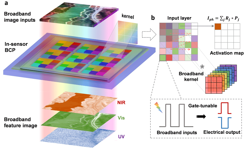 实现宽光谱感算一体智能器件华科翟天佑周兴团队