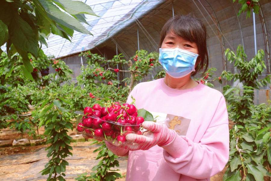 齐鲁壹点 通讯员 梅青霞