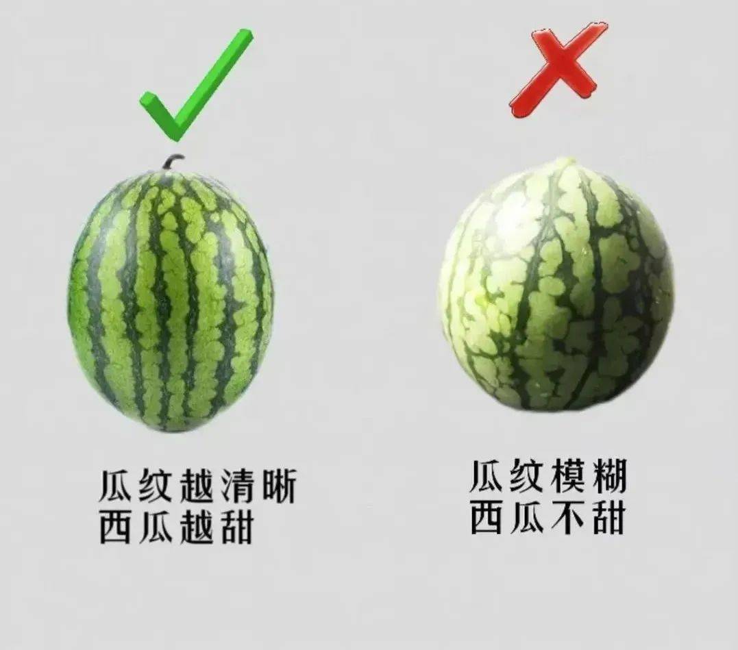 生活小技巧西瓜怎麼挑