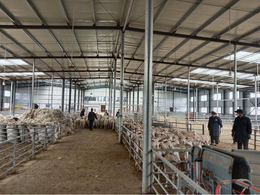 抓项目02优环境02促发展金昌亿元项目羊帆启航