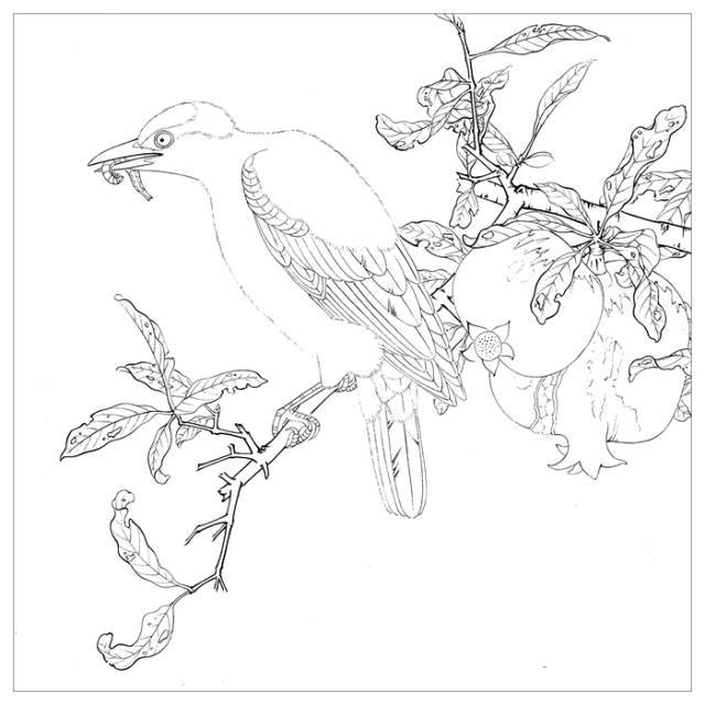 李晓明《榴枝黄鸟图》绘制步骤.(含详细文字解析)