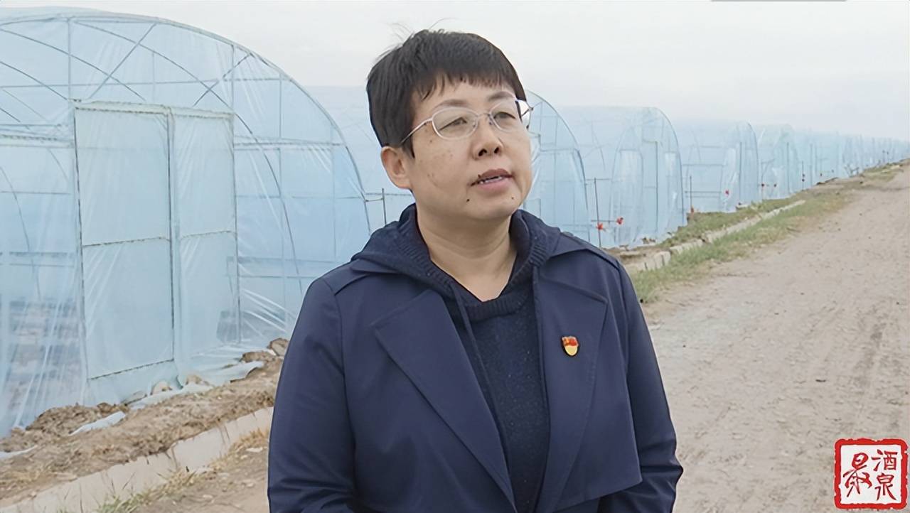 酒泉:培育提升农民专业合作社 激发乡村振兴新动能_发展_南岔镇_农民