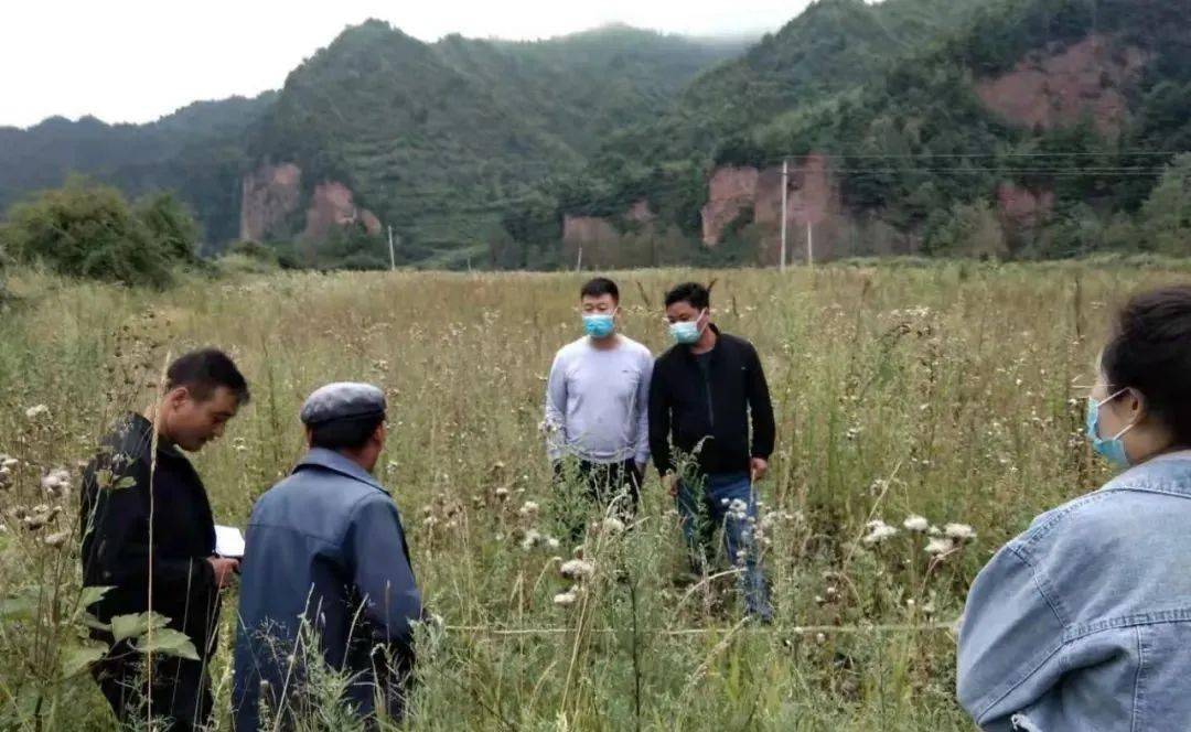 【平安陇南建设行动】礼县上坪乡:"四强化"扎实做好矛盾纠纷排查化解