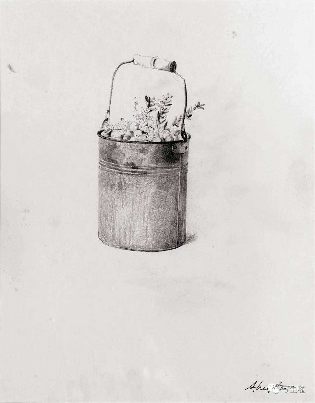 写生啦安德鲁怀斯andrewwyeth素描作品