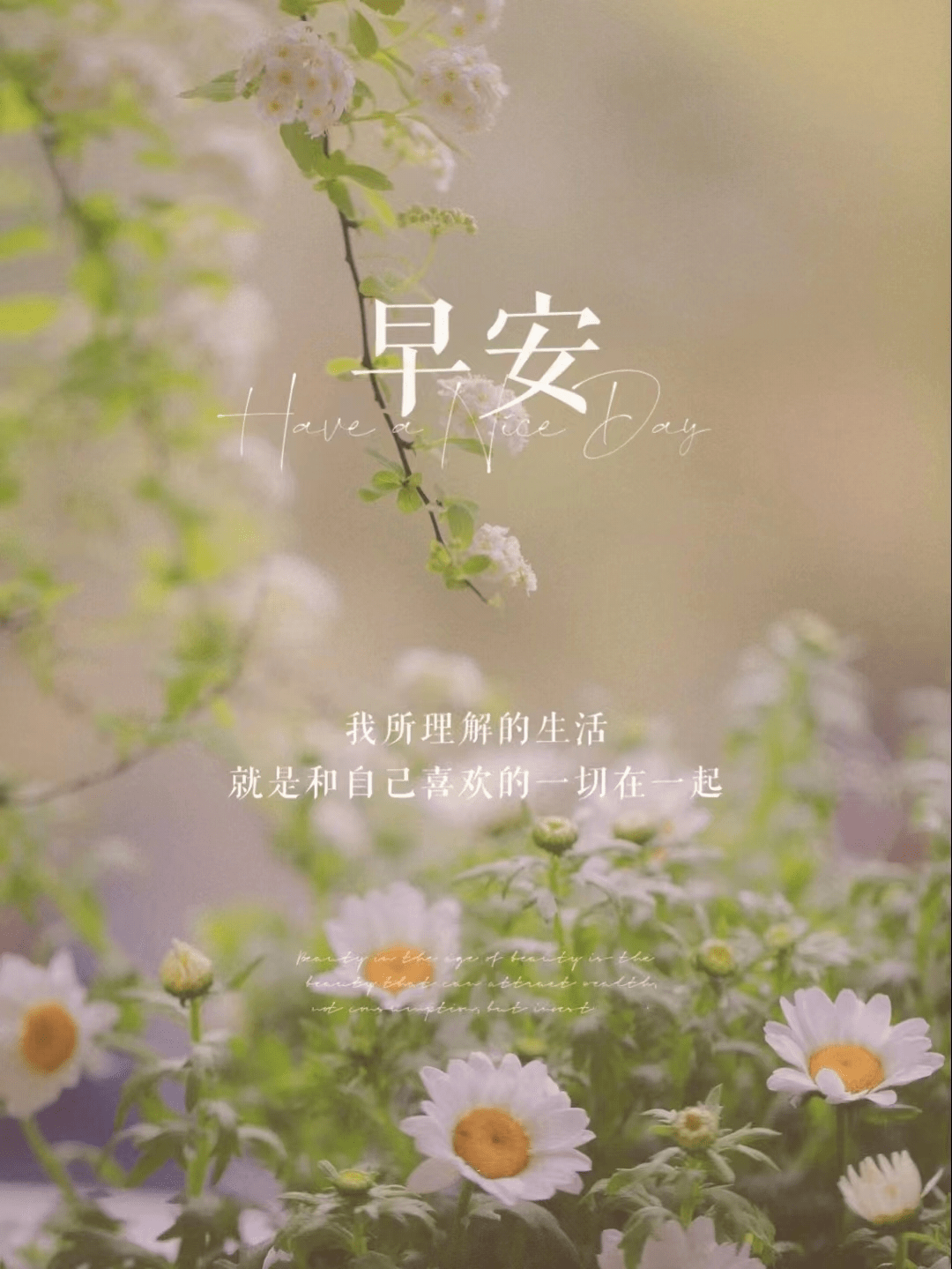 清晨发朋友圈被秒赞的一段话