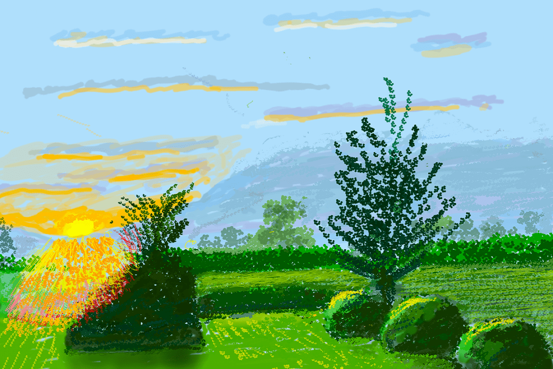 大卫霍克尼去画去看也是去生活