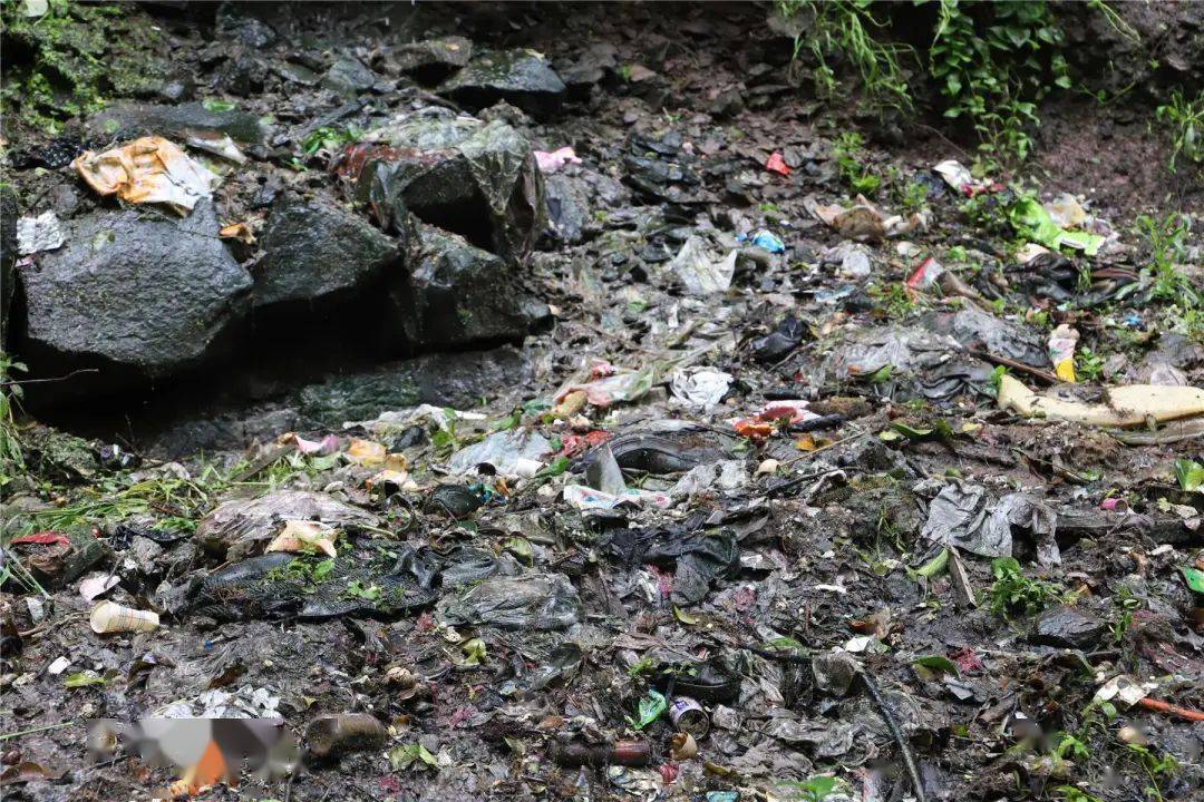 曝光丨云阳这个小区居民很烦心 因为这件事···_山体_垃圾_生活