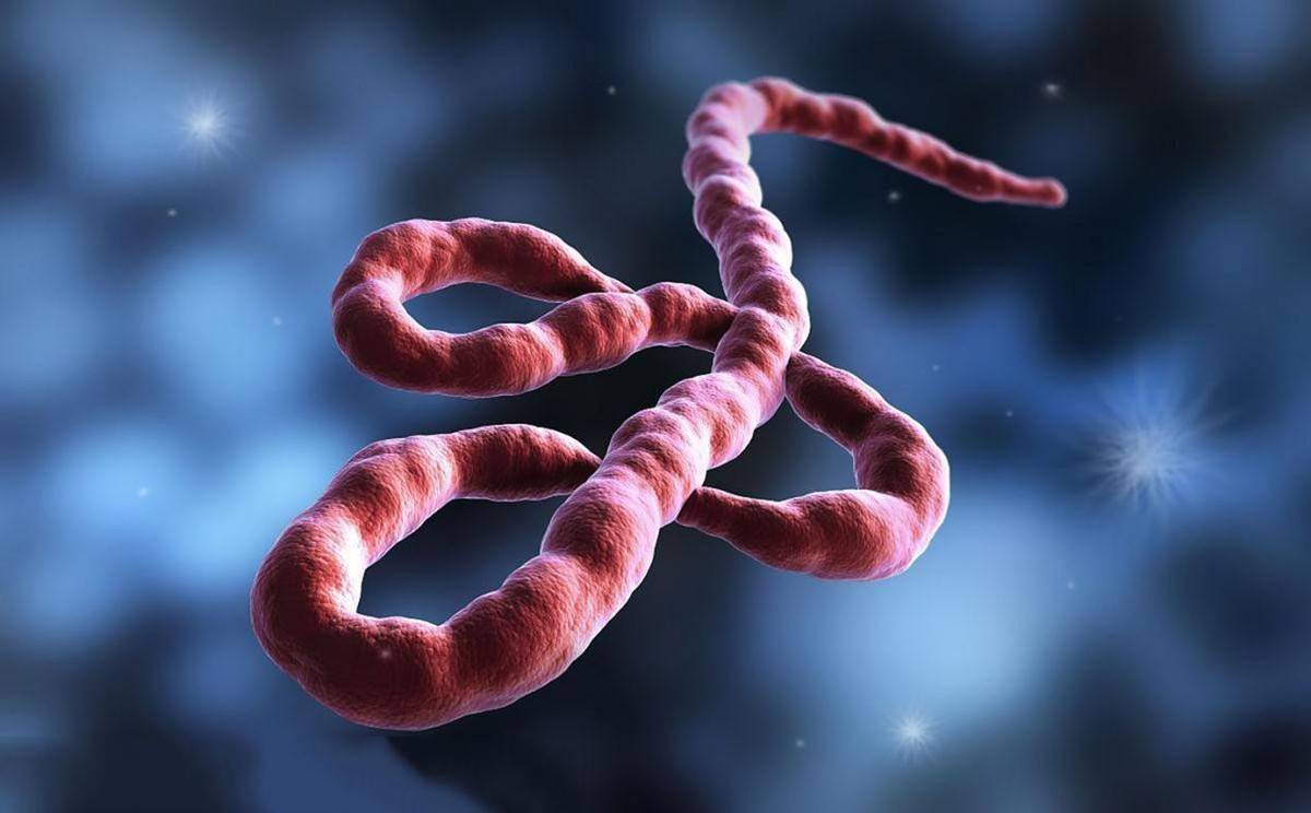 埃博拉病毒再次爆发!致死率高达90%,和新冠病毒相比谁更恐怖?