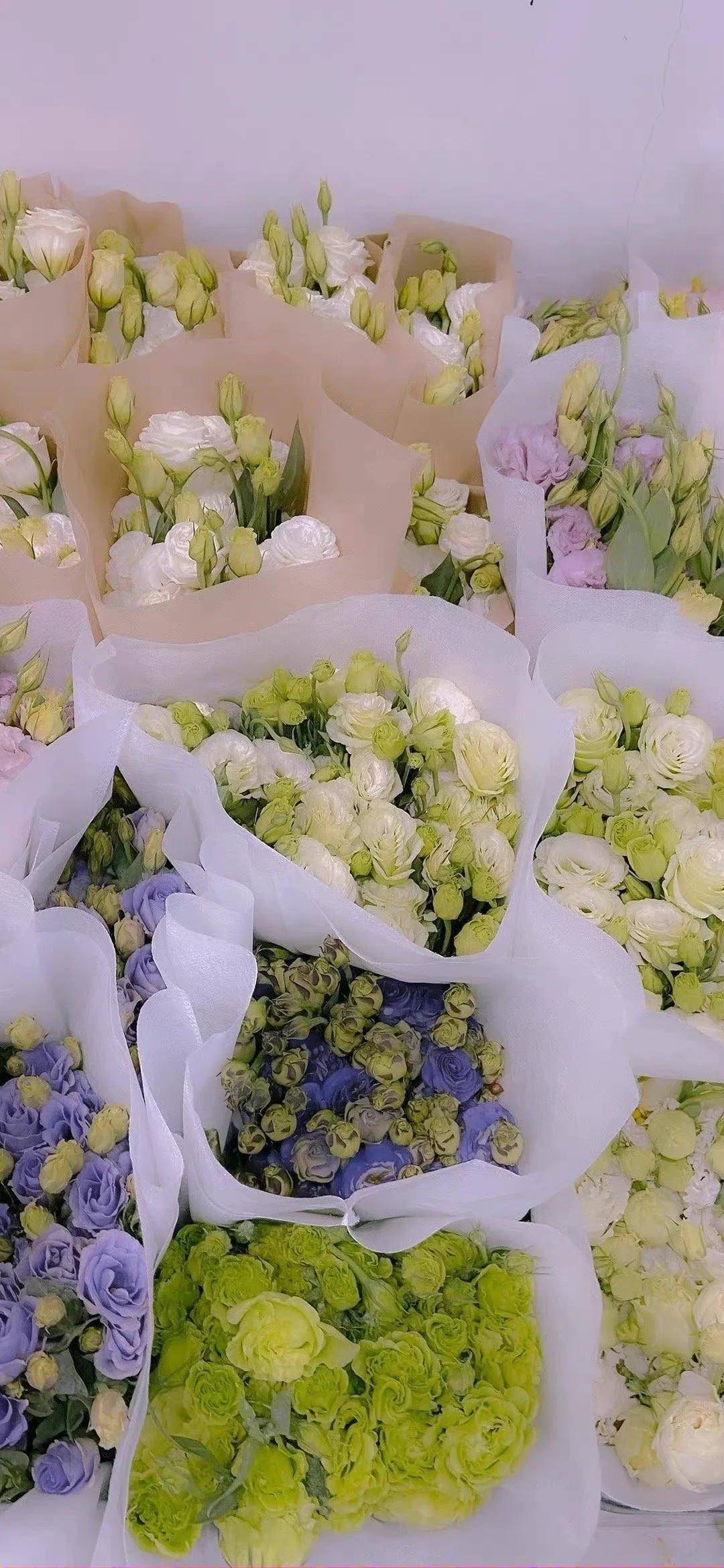 花束至死不渝 聊天背景壁纸 花束 壁纸 背景