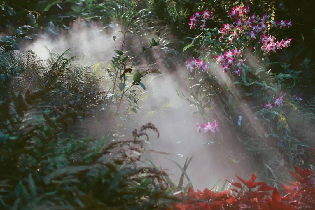 10首晚春诗词春色忽向晚风定落花香