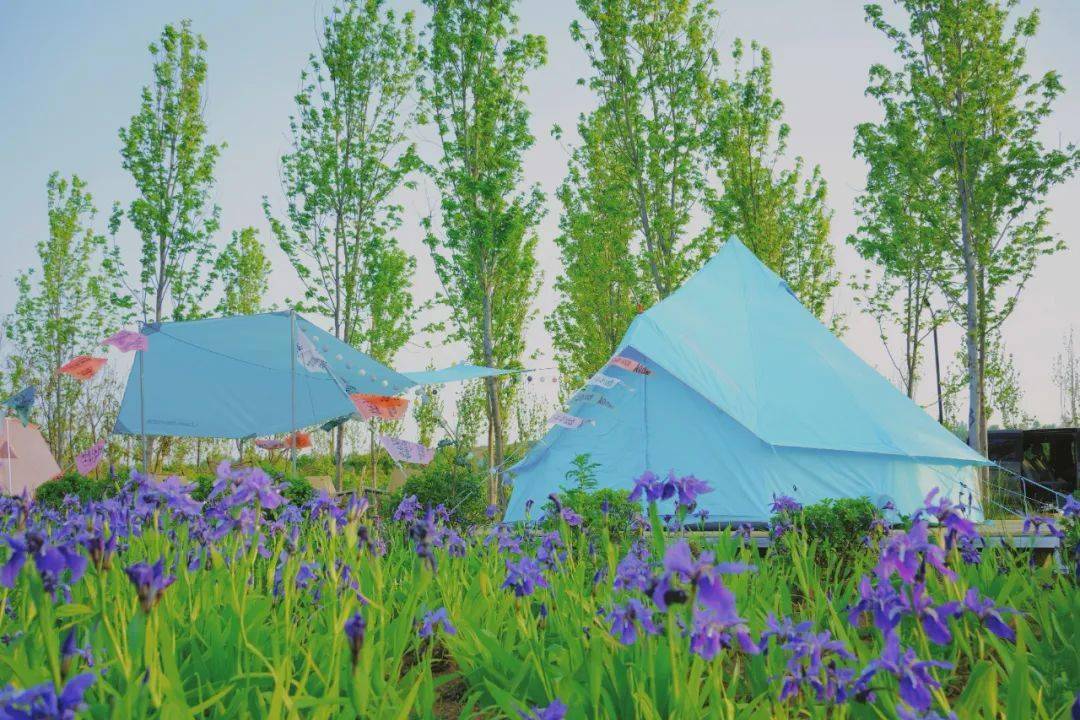 甜野大营家|洛阳首届青年城市露营会2.0,开启野生的夏天!_湖畔_营地_