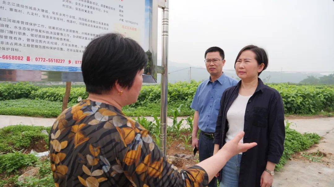 县委常委,副县长王音毓汇报忻城县人民政府贯彻实施《来宾市北之江