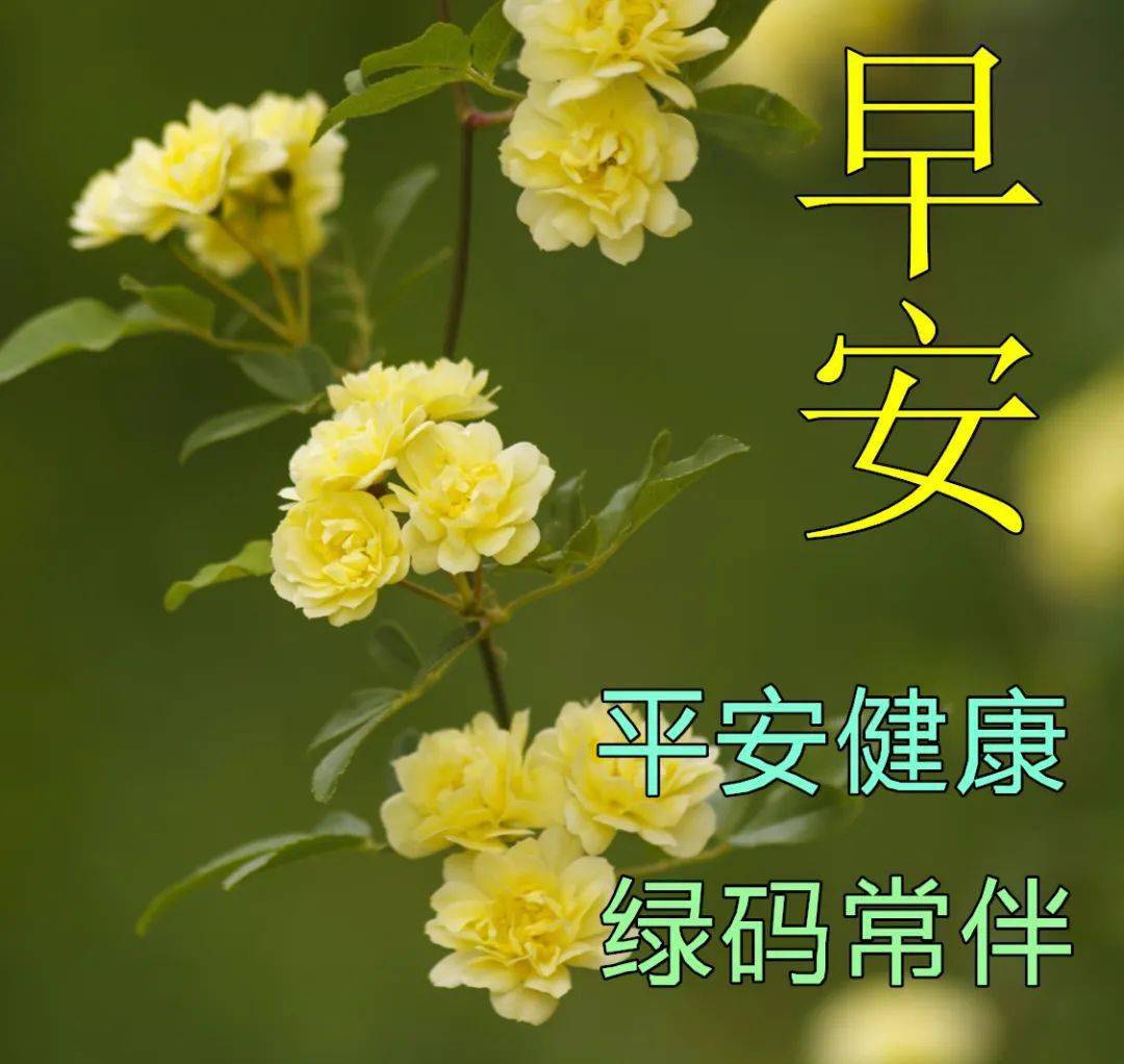 4月28日早上好祝福語圖片大全問候動態表情圖片大全